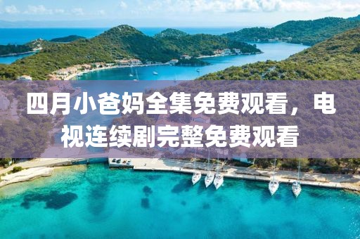 四月小爸妈全集免费观看，电视连续剧完整免费观看