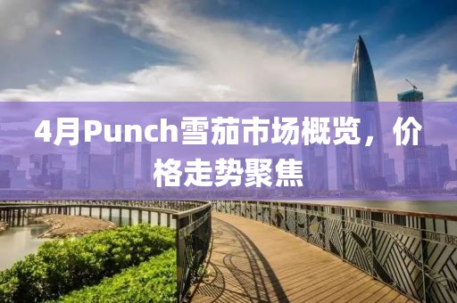 4月Punch雪茄市场概览，价格走势聚焦