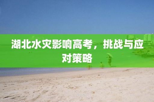 湖北水灾影响高考，挑战与应对策略
