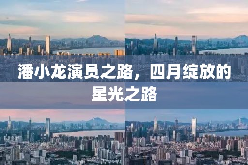 潘小龙演员之路，四月绽放的星光之路