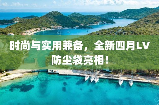 时尚与实用兼备，全新四月LV防尘袋亮相！