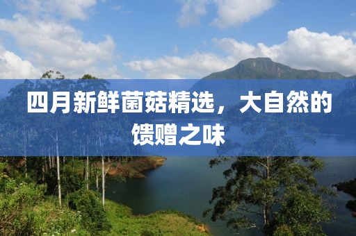 四月新鲜菌菇精选，大自然的馈赠之味