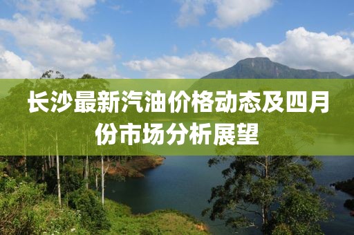 长沙最新汽油价格动态及四月份市场分析展望