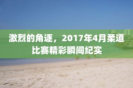 激烈的角逐，2017年4月柔道比赛精彩瞬间纪实