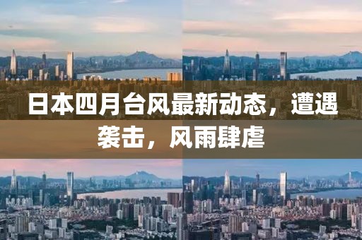 日本四月台风最新动态，遭遇袭击，风雨肆虐