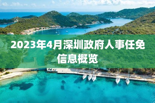 2023年4月深圳政府人事任免信息概览