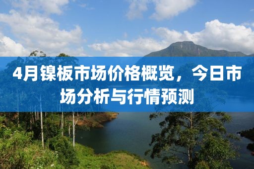 4月镍板市场价格概览，今日市场分析与行情预测