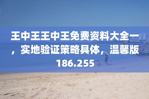王中王王中王免费资料大全一，实地验证策略具体，温馨版186.255