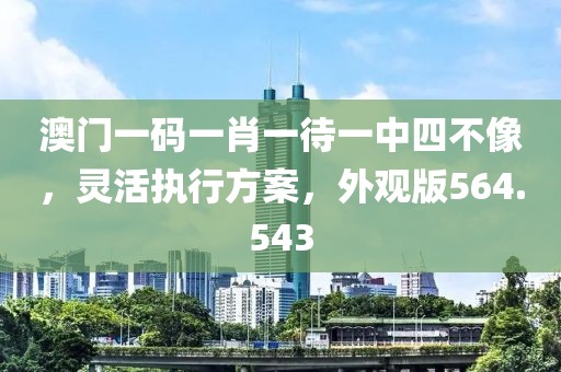 澳门一码一肖一待一中四不像，灵活执行方案，外观版564.543