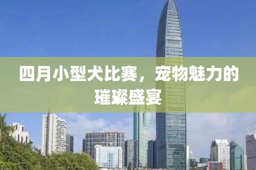 四月小型犬比赛，宠物魅力的璀璨盛宴