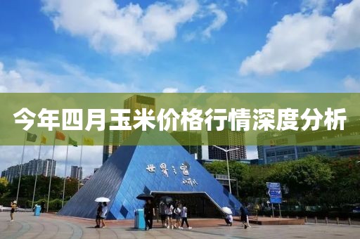 今年四月玉米价格行情深度分析