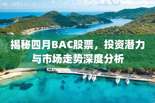揭秘四月BAC股票，投资潜力与市场走势深度分析