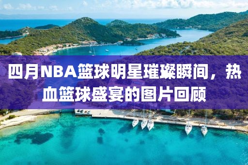 四月NBA篮球明星璀璨瞬间，热血篮球盛宴的图片回顾