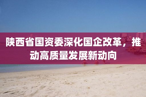 陕西省国资委深化国企改革，推动高质量发展新动向