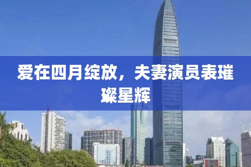 爱在四月绽放，夫妻演员表璀璨星辉