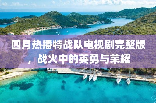 四月热播特战队电视剧完整版，战火中的英勇与荣耀