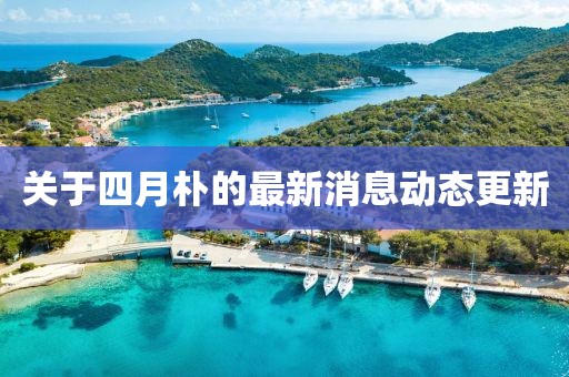 关于四月朴的最新消息动态更新