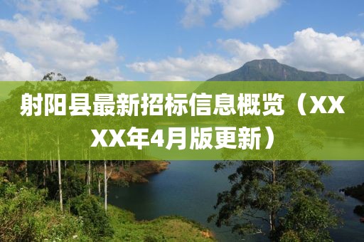 射阳县最新招标信息概览（XXXX年4月版更新）