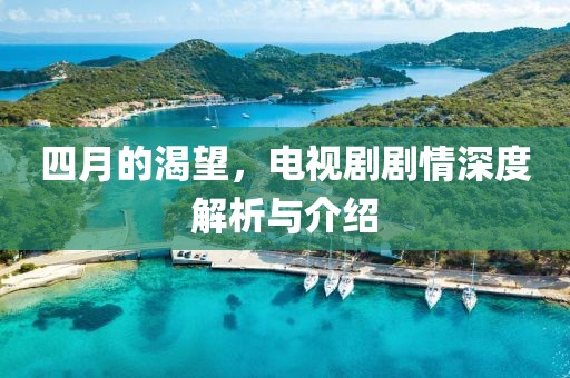 四月的渴望，电视剧剧情深度解析与介绍