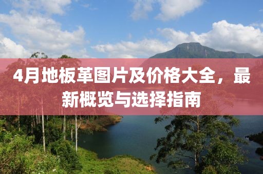 4月地板革图片及价格大全，最新概览与选择指南