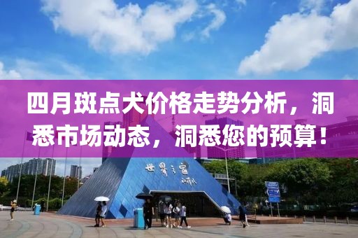 四月斑点犬价格走势分析，洞悉市场动态，洞悉您的预算！