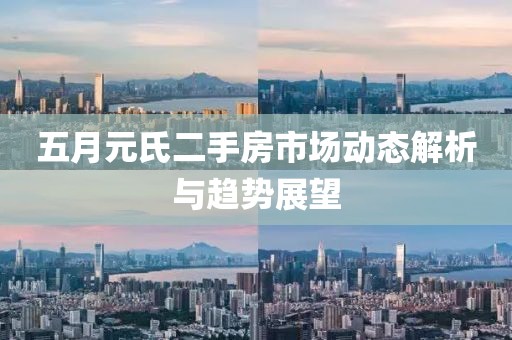 五月元氏二手房市场动态解析与趋势展望