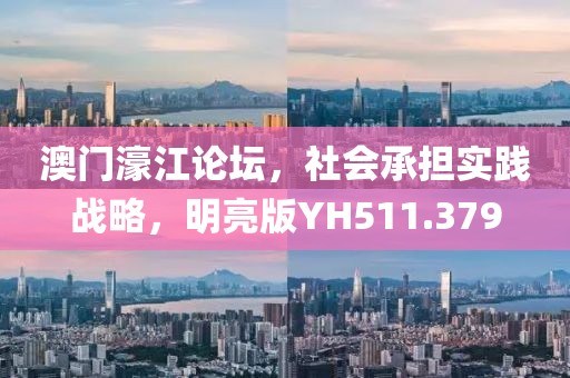 澳门濠江论坛，社会承担实践战略，明亮版YH511.379