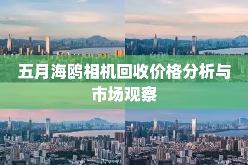 五月海鸥相机回收价格分析与市场观察
