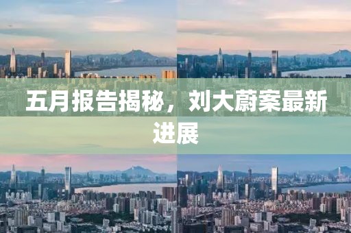 五月报告揭秘，刘大蔚案最新进展