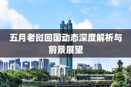 五月老挝回国动态深度解析与前景展望