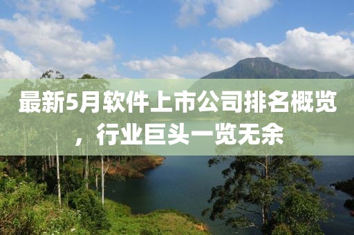 最新5月软件上市公司排名概览，行业巨头一览无余
