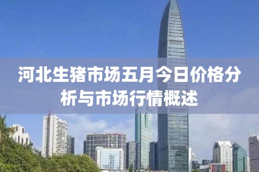 河北生猪市场五月今日价格分析与市场行情概述