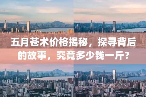 五月苍术价格揭秘，探寻背后的故事，究竟多少钱一斤？