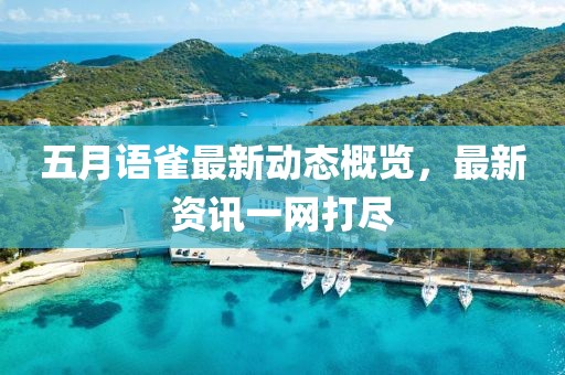 五月语雀最新动态概览，最新资讯一网打尽
