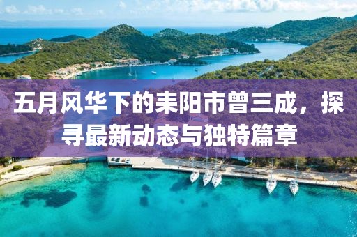 五月风华下的耒阳市曾三成，探寻最新动态与独特篇章