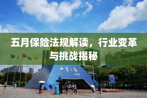 五月保险法规解读，行业变革与挑战揭秘
