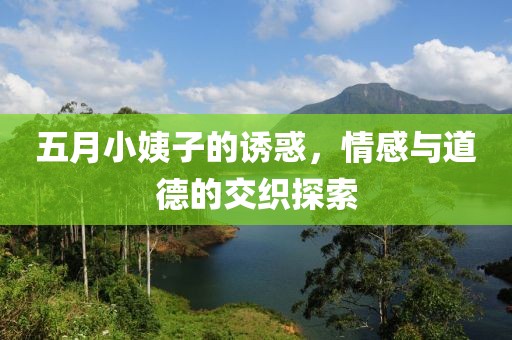 五月小姨子的诱惑，情感与道德的交织探索