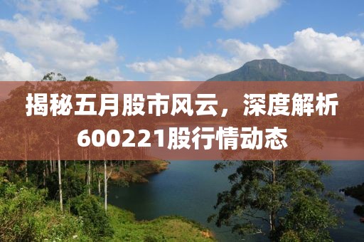揭秘五月股市风云，深度解析600221股行情动态