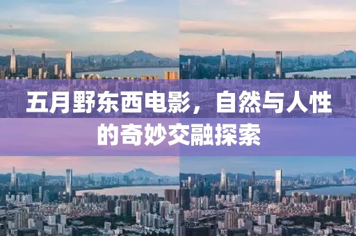 五月野东西电影，自然与人性的奇妙交融探索