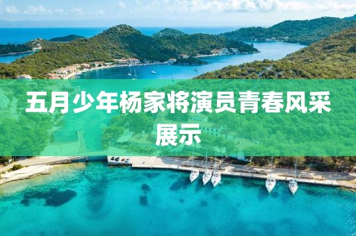 五月少年杨家将演员青春风采展示