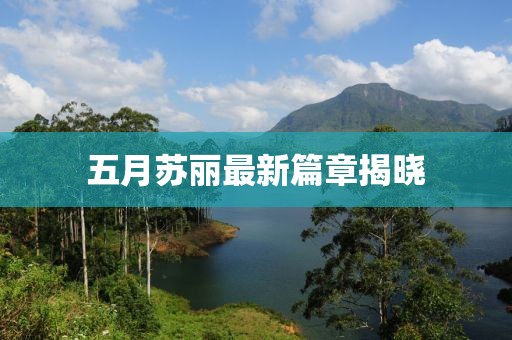 五月苏丽最新篇章揭晓