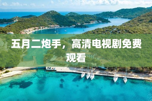 五月二炮手，高清电视剧免费观看