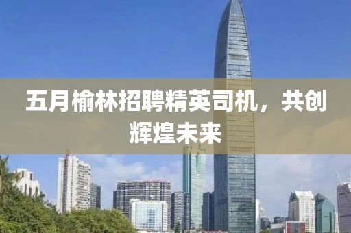 五月榆林招聘精英司机，共创辉煌未来