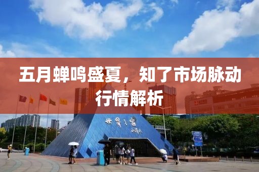 五月蝉鸣盛夏，知了市场脉动行情解析