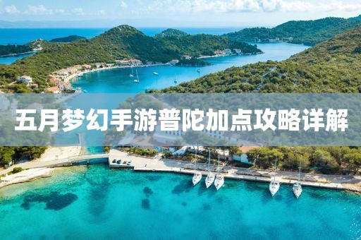 五月梦幻手游普陀加点攻略详解