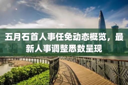 五月石首人事任免动态概览，最新人事调整悉数呈现