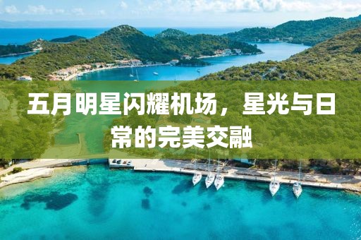 五月明星闪耀机场，星光与日常的完美交融