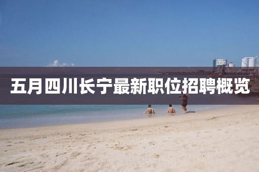 五月四川长宁最新职位招聘概览