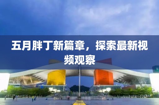五月胖丁新篇章，探索最新视频观察