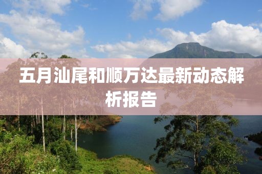 五月汕尾和顺万达最新动态解析报告